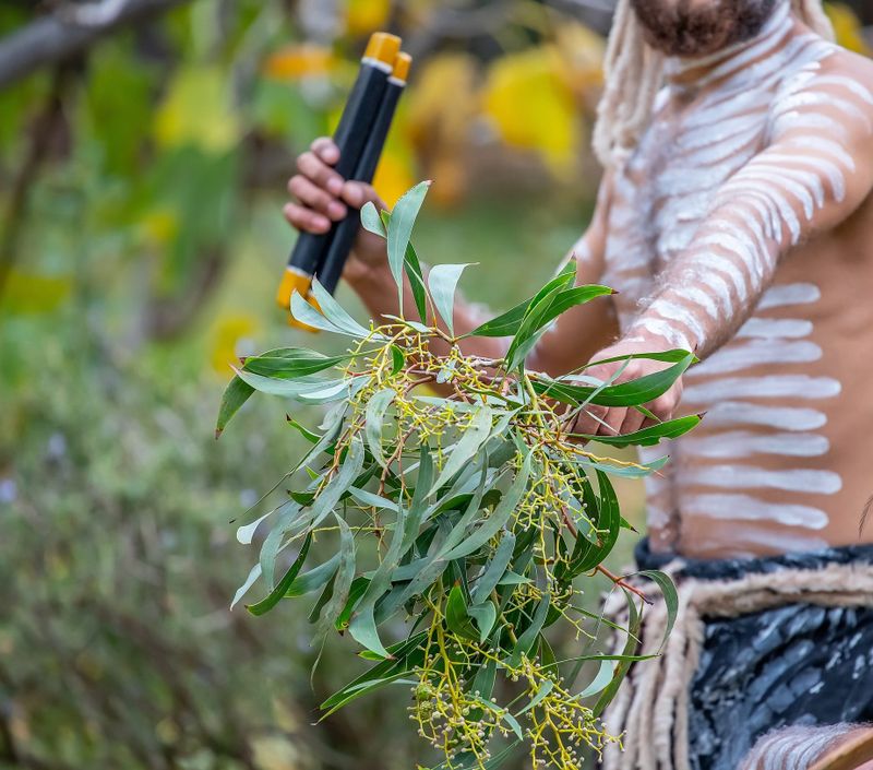 Closing the Gap: A call for Indigenous-led solutions and redefining success post image