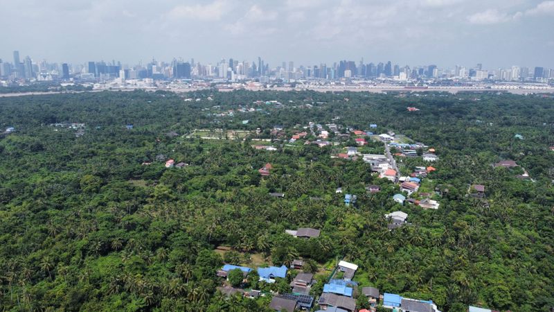 COP29: Southeast Asia needs serious money to get to net zero post image