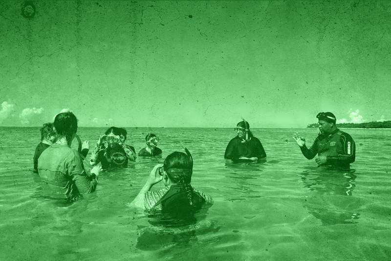 ‘What Happens Next?’: Can Good Stories Help Save the Planet? post image