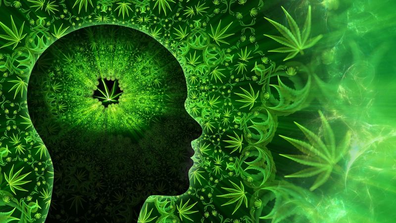 Cannabis leaf fractal art and human brain/head silhouette.