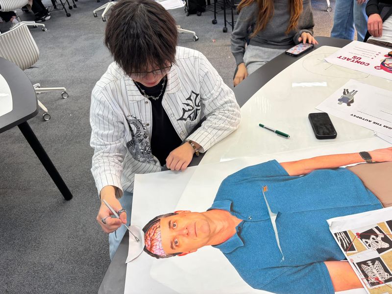 Student at a desk "dissecting" the brain on an image of a man