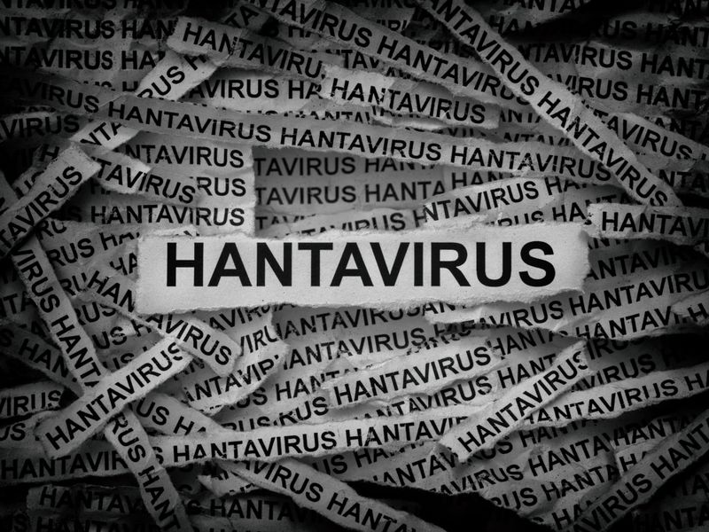Strips of newspaper with the words Hantavirus typed on them. 