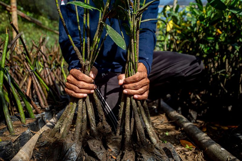 The missing link in the blue carbon agenda: The workforce post image