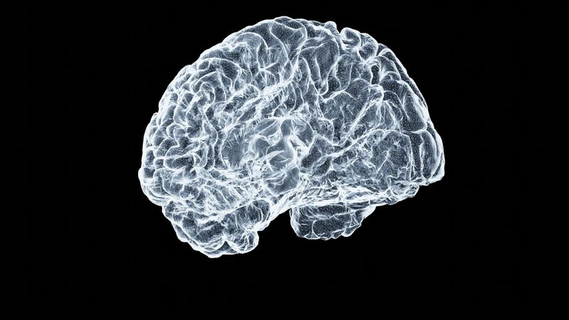 Experimental brain implants are on the rise. What happens after the trials are over? post image