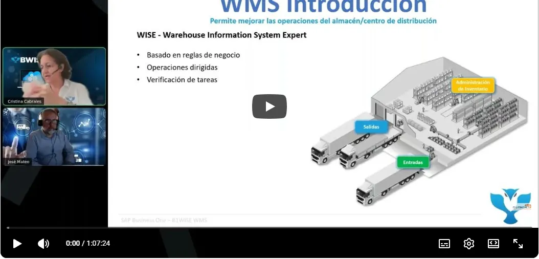 Wise WMS+SAP Business One para Distribución, Retail y Fabricación (67 min)