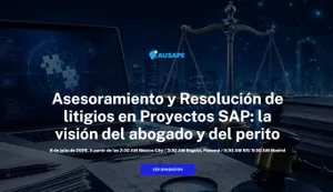 Cuando un proyecto SAP llega a Juicio: Asesoramiento, Resolución y consejos de abogados y peritos