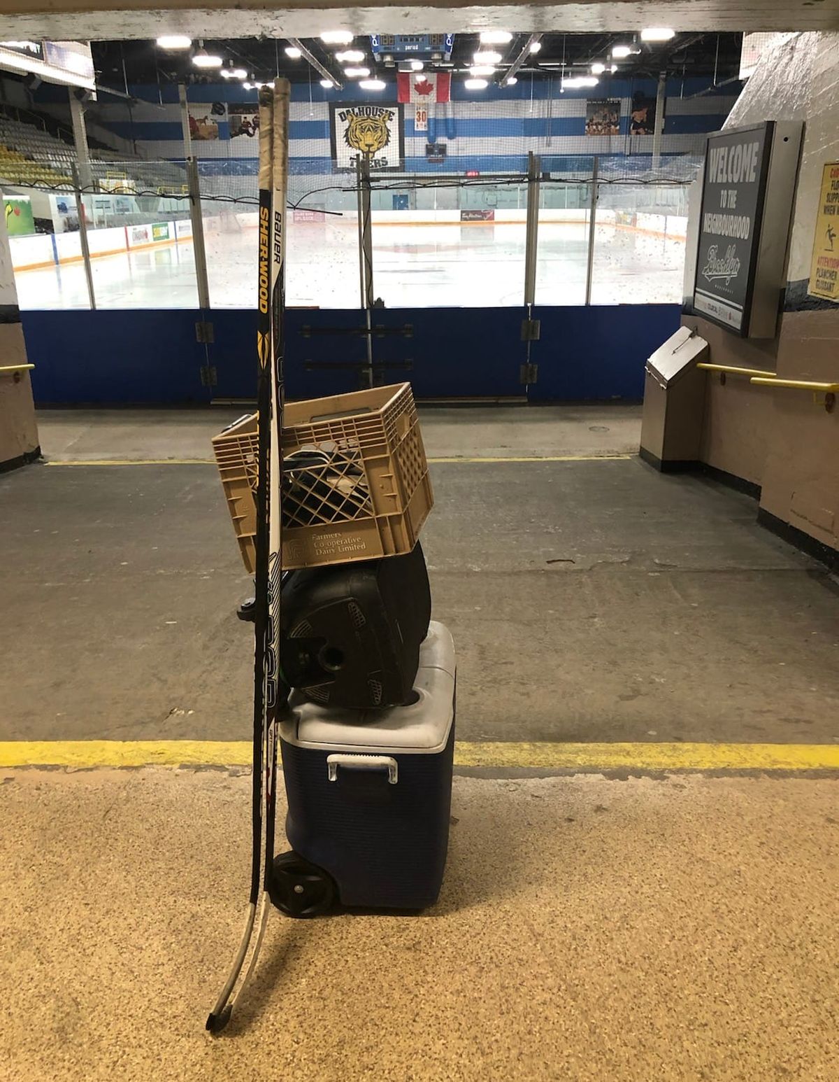 Risks and Opportunities.