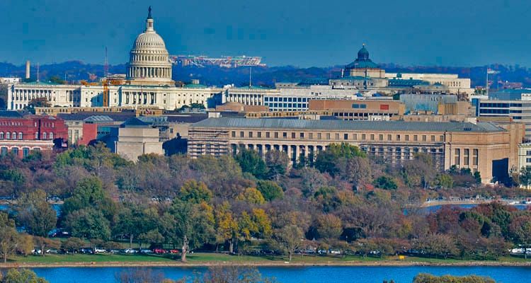 Interactive Advertising Bureau Names Dave Grimaldi to Lead D.C. Office