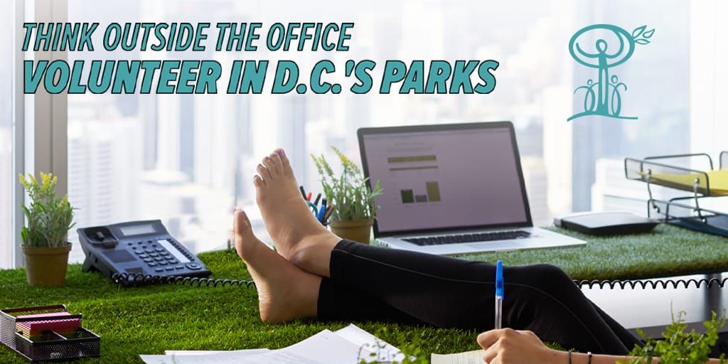 Ad 2 DC Launches Pro Bono Campaign for Washington Parks & People