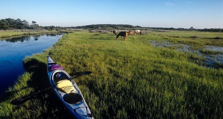 Welcome to Maryland’s Coast; Worcester County Launches Place Brand to Promote Business, Recreation, Tourism Growth
