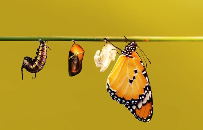 10 Marketing Trends for Nonprofits