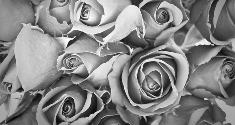 Annapolis and Baltimore Media Updates: Barbara Smith-Cox & Richard Fox Have Died