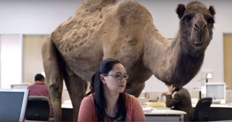 The Martin Agency Re-Airs 10 of its Best Commercials for Chevy Chase-Based GEICO