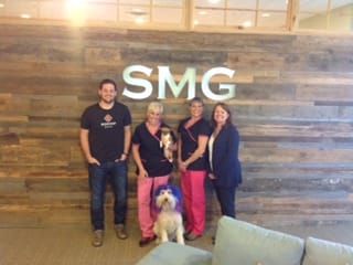 Spurrier Media Group & Workshop Digital Team Up to Connect Owners of Sick Pets with Helping Hands Veterinary Care in Richmond