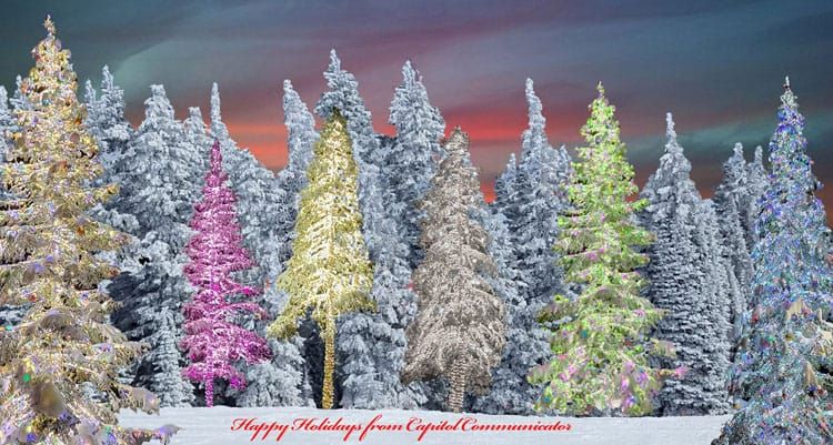 Happy Holidays and Year in Review
