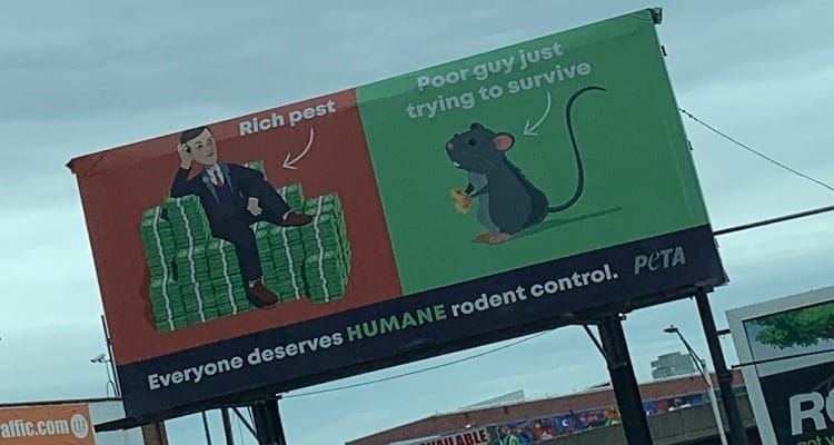 PETA Billboard Blames ‘Rich Pests’ for Baltimore’s Rodent Problem