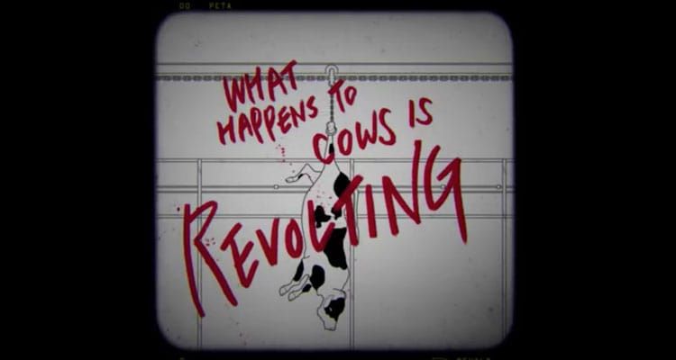 New PETA Campaign Reveals Mistreatment of Cows