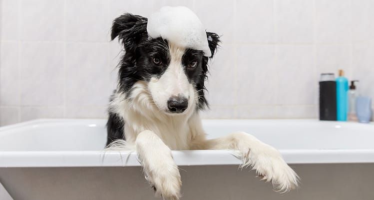 “Consumers three times more likely to trust their shampoo brand than news media”