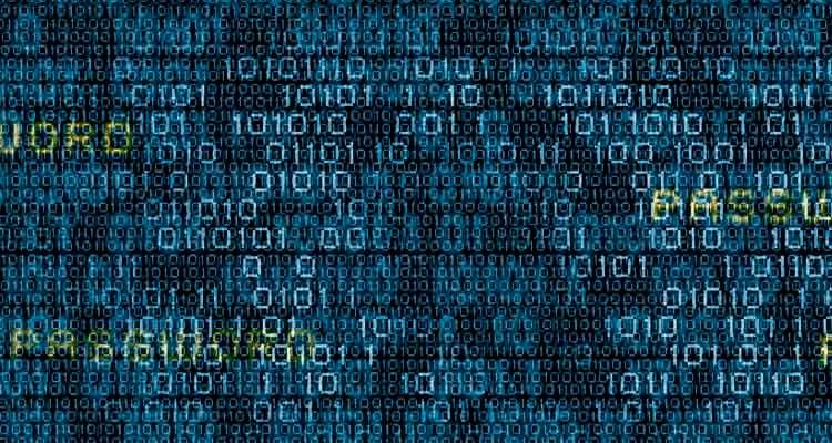 Digital Tools Still Need a Human Touch