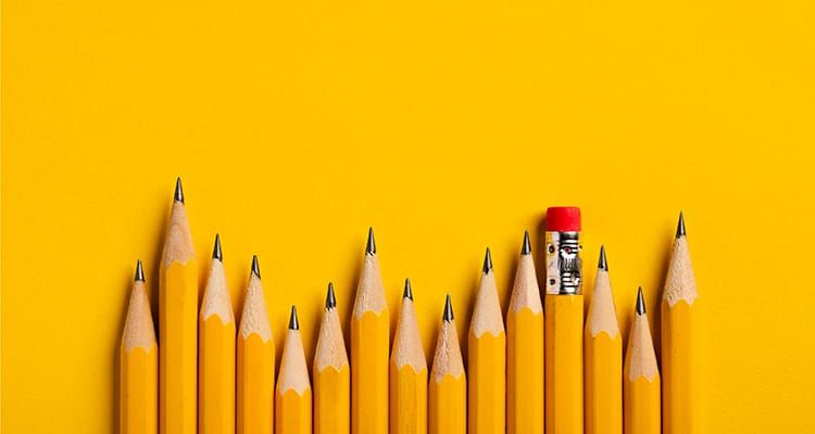 Why Williams Whittle Chose to Be Specialists in Nonprofits