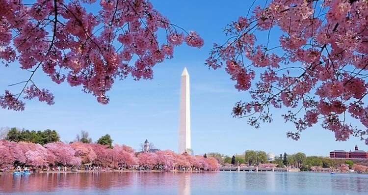 D.C.-area agency updates: Signal Group, The Campaign Workshop and Crimson Atlantic Communications