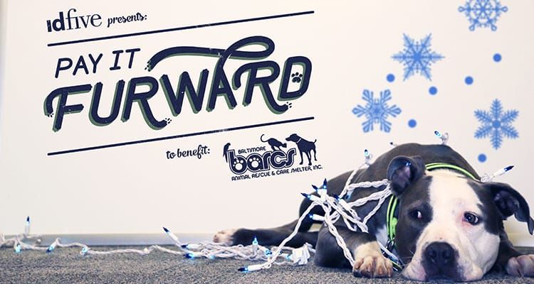 idfive Teams with BARCS to Raise $100,000