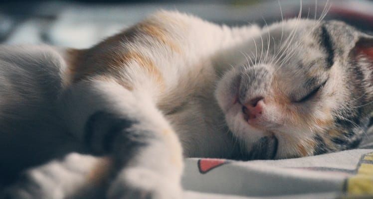 “You Need to Rest,” The Martin Agency Tells Employees