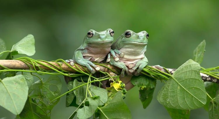 Advertising & public relations: A dynamic duo