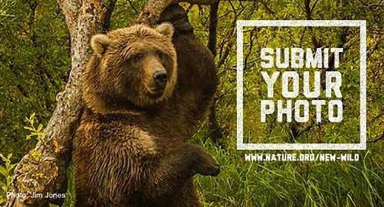 Outdoor Lovers Flock to The Nature Conservancy