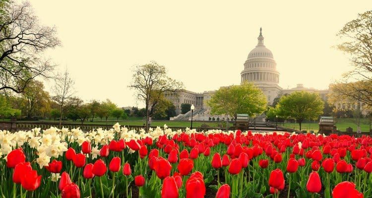 IABC World Conference Set for D.C. June 11 through 14
