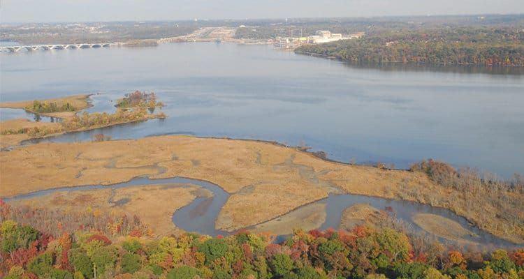 Carousel30 to Provide Pro Bono Services to the Trust for the George Washington Memorial Parkway