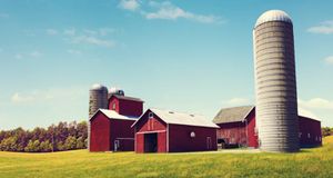 Silos Should Have Remained on the Farm