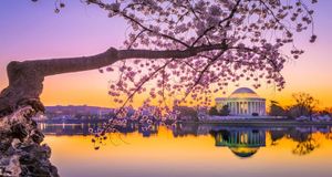 D.C. Updates: American Humane, Stagwell Group and Purple Strategies