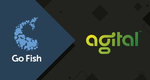 Agital acquires Go Fish Digital