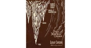 WHITE64 launches ‘Carved Over Time’ campaign for Luray Caverns