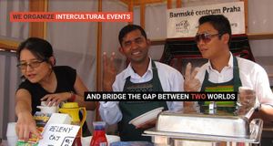 Bridging Cultural Divides with Multi-Lingual Websites