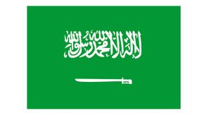 Agencies Cutting Ties with Saudi Arabia