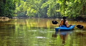 Martin Agency Produces “Reverse Postcard” Campaign for Virginia Tourism Corp