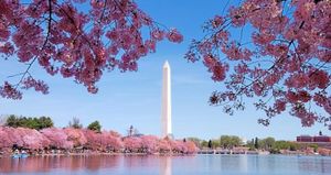 D.C.-area agency updates: Signal Group, The Campaign Workshop and Crimson Atlantic Communications