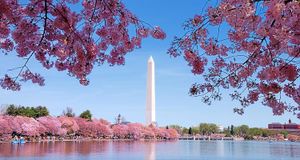D.C.-area agency updates: Spectrum acquires Continuum Clinical, Republican National Committee chief of staff Mike Reed to join Cornerstone and BGR Group announces promotions