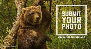 Outdoor Lovers Flock to The Nature Conservancy
