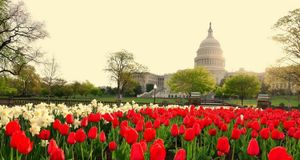 IABC World Conference Set for D.C. June 11 through 14