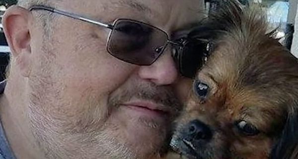 Cartoonist Dies After Being Hit by Car in Alexandria, VA