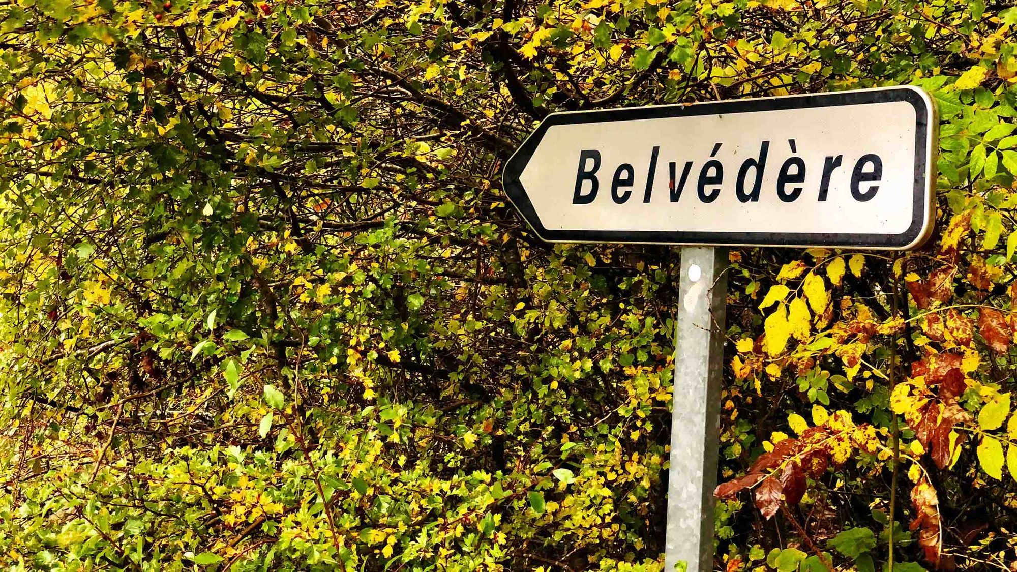 Belvedere