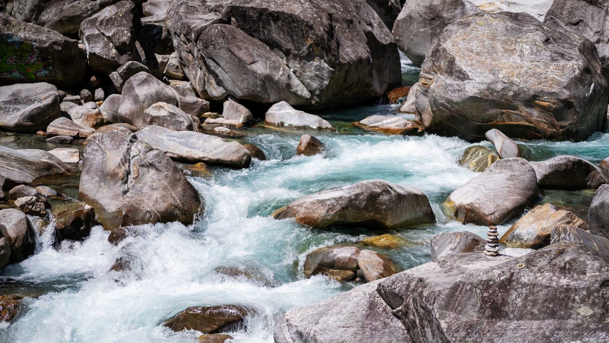 Grünes Wasser