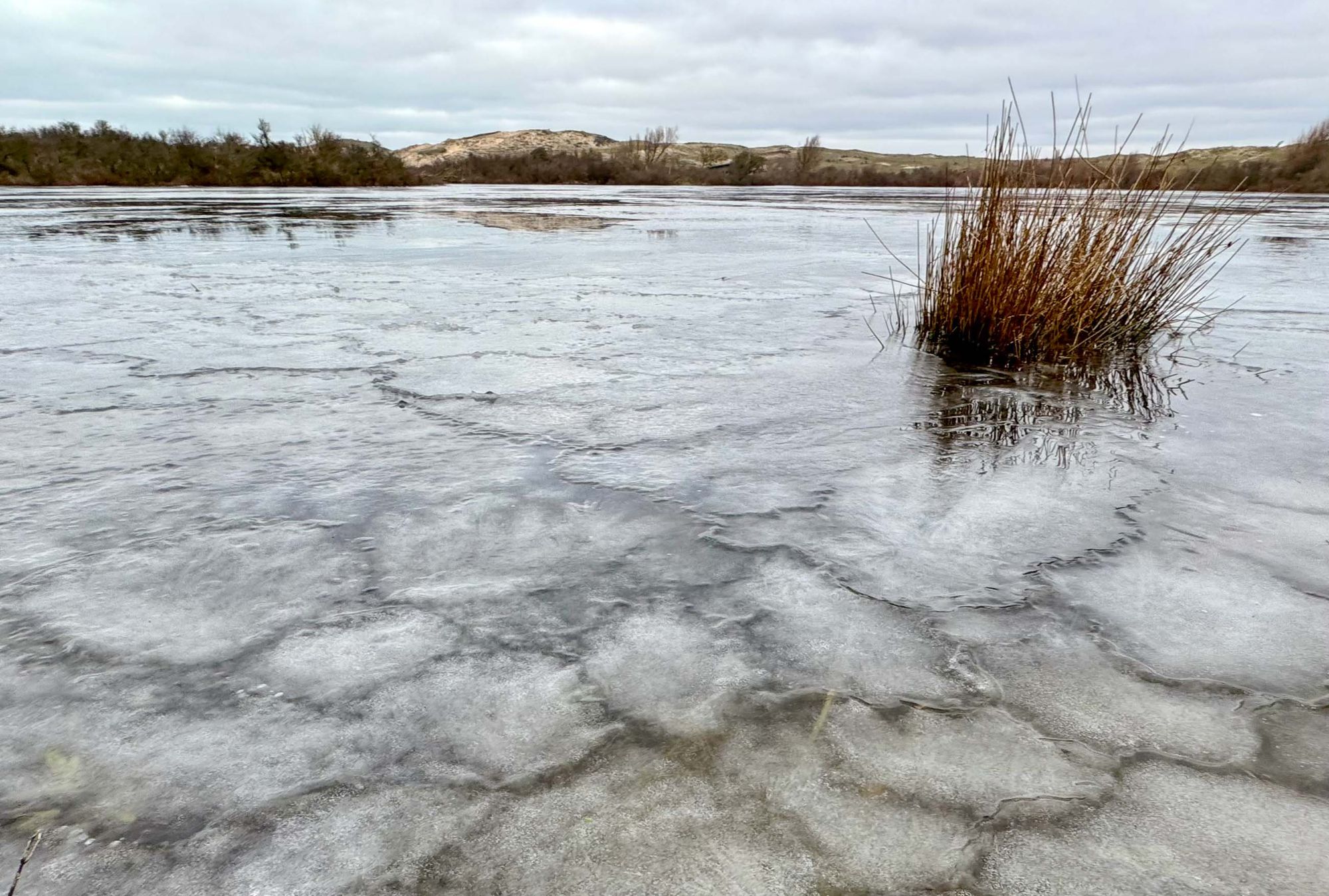 Eisdünen