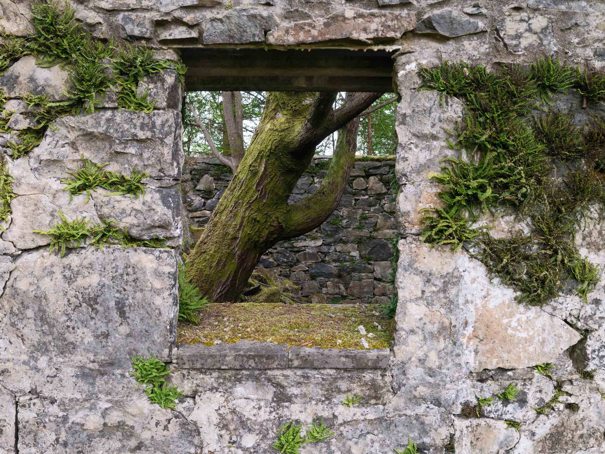 Glentrool