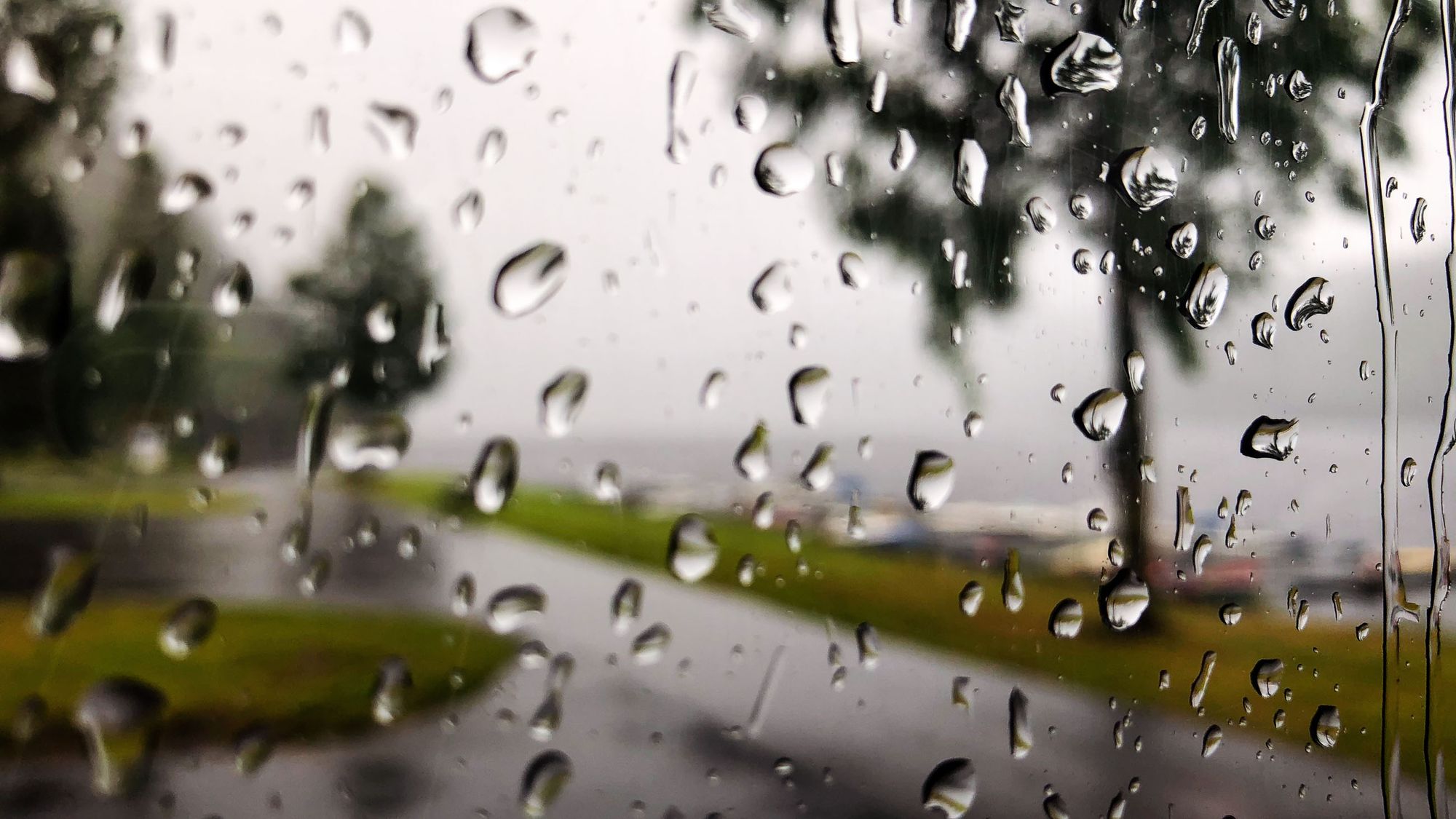 Regensee