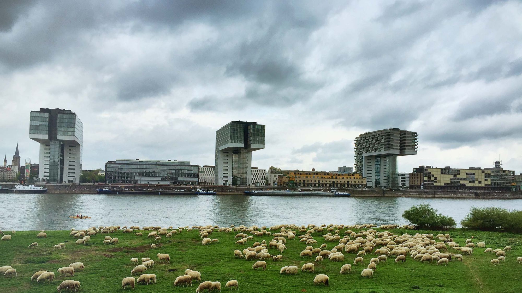 Raus und Rhein
