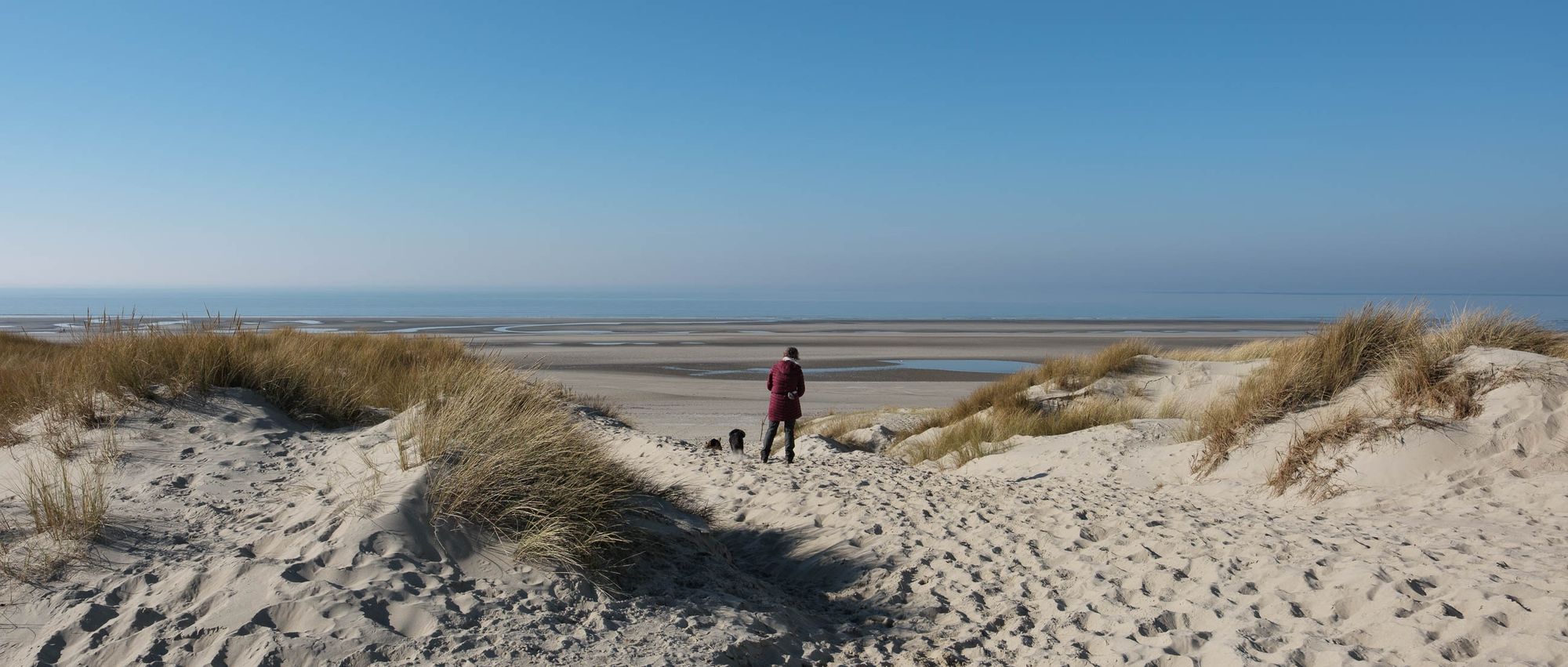 Baie d'Authie